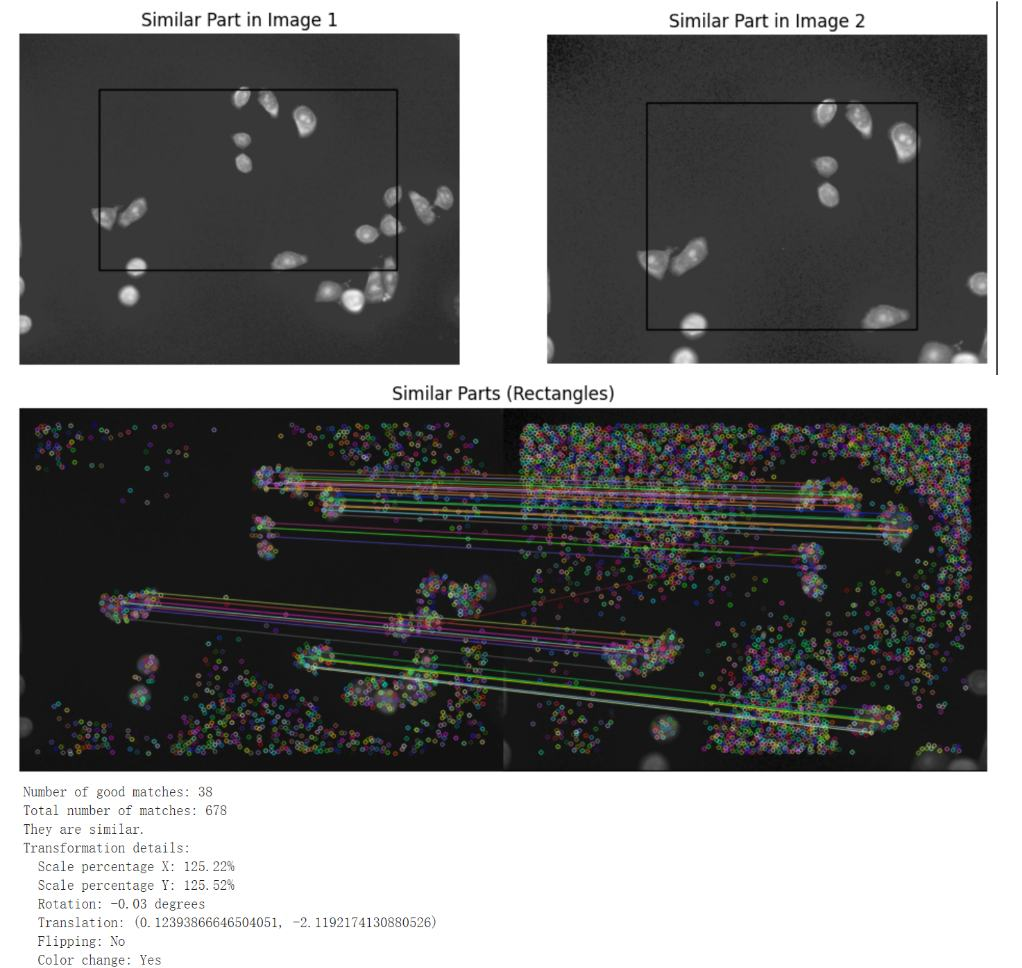 similar-region detection